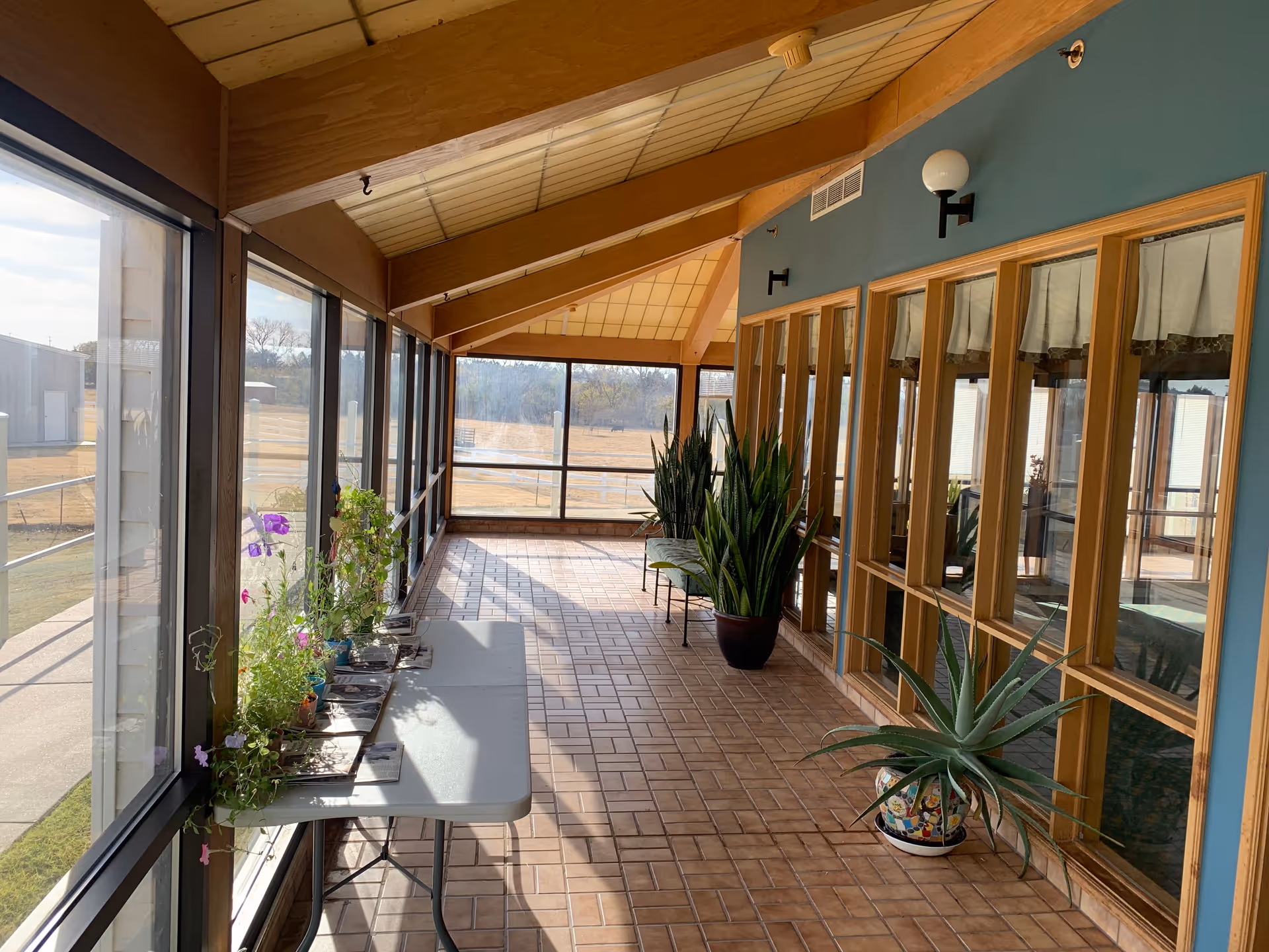 A sunlit indoor corridor with large windows on the left side showing an outdoor view of a field and buildings. The corridor has a tiled floor and a slanted ceiling with wood paneling. On the right side, there are large wooden-framed windows with curtains, and several potted plants are placed along the corridor, including a table with small plants near the windows.