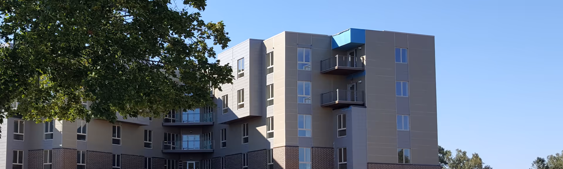 Exterior view of a multi-story assisted living building with balconies and a large tree in the foreground under a clear sky.