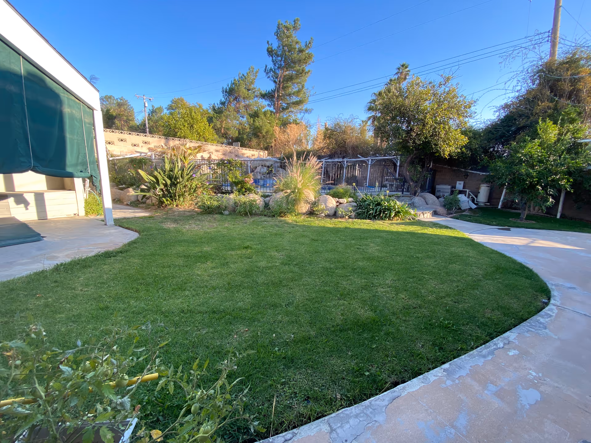 Sunlit backyard with a circular grassy lawn, surrounding plants and rocks, a curved concrete patio, and a covered patio area on the left.