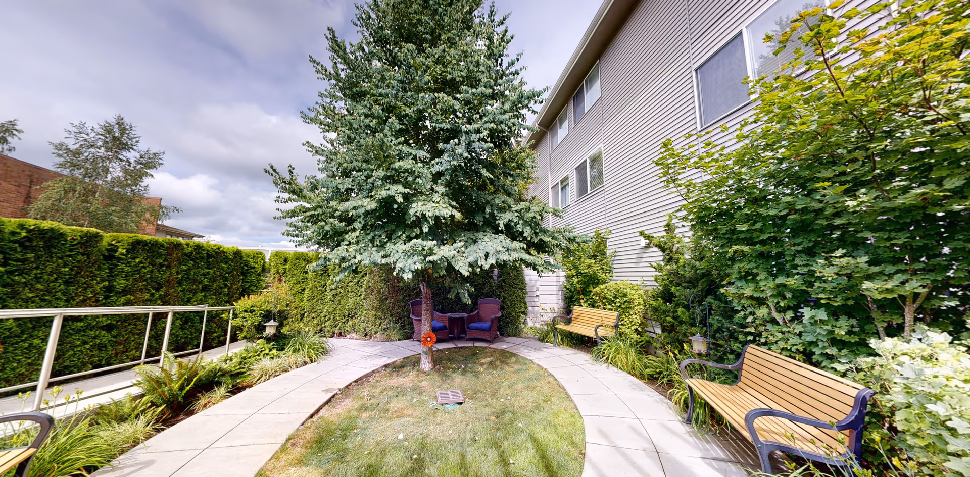 Small landscaped courtyard with a central evergreen tree, curved paved walkways and wooden benches beside a multi-story building.