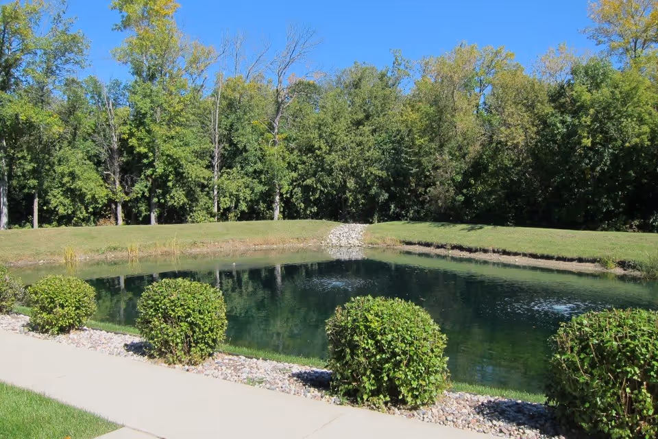 Small landscaped pond with trimmed bushes, a sidewalk in the foreground, and a treeline under a clear blue sky.