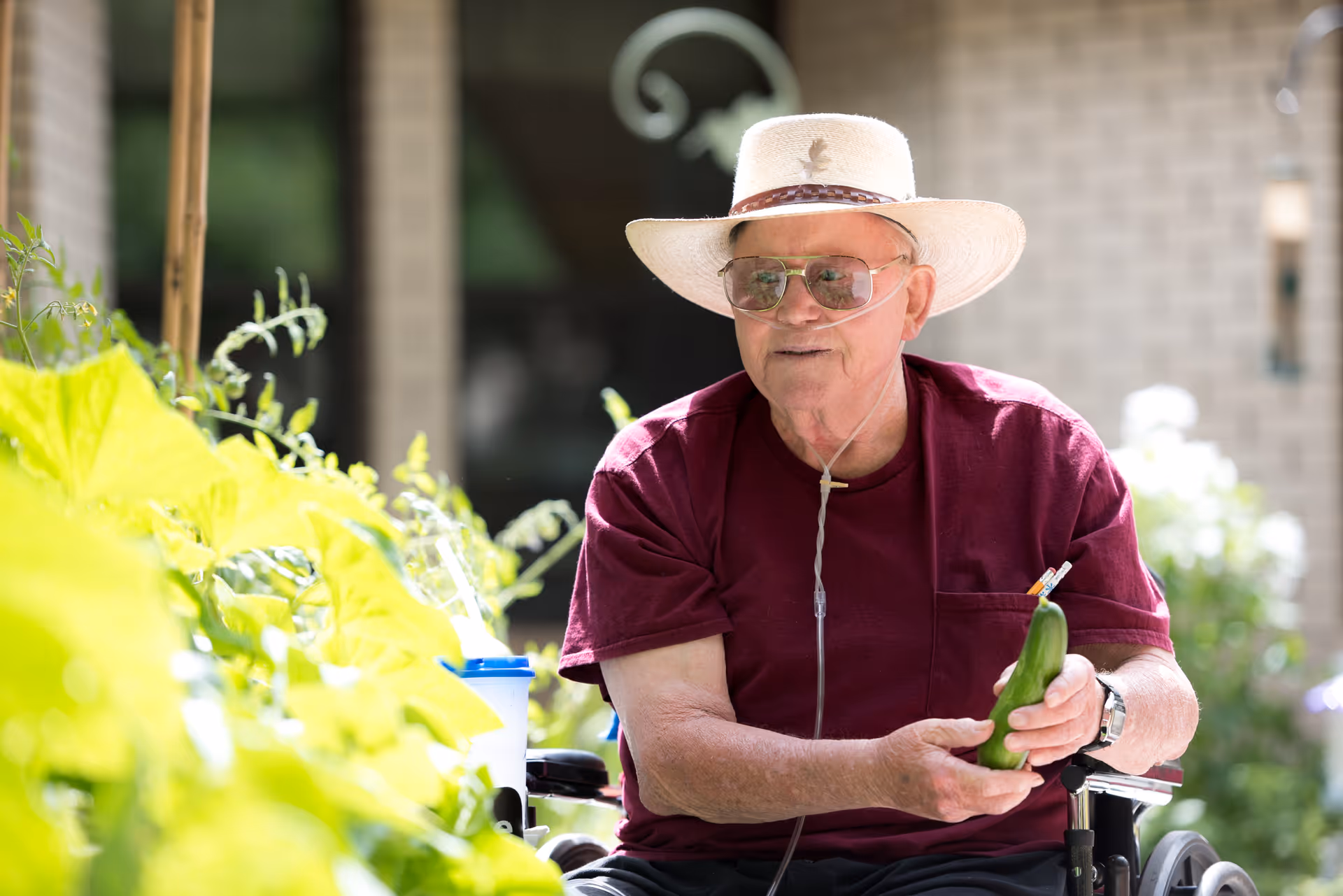 An elderly man wearing a maroon shirt, sunglasses, and a wide-brimmed hat is sitting in a wheelchair outdoors. He is holding a cucumber and is surrounded by green plants, with a brick building in the background. The man has an oxygen tube connected to his nose.