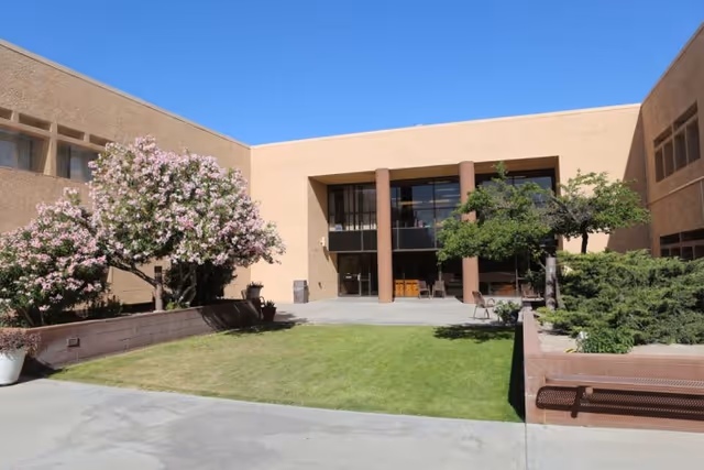 Outdoor courtyard area of a building with green grass, flowering trees, shrubs, and a bench. The building has a beige exterior with large windows and columns at the entrance under a clear blue sky.