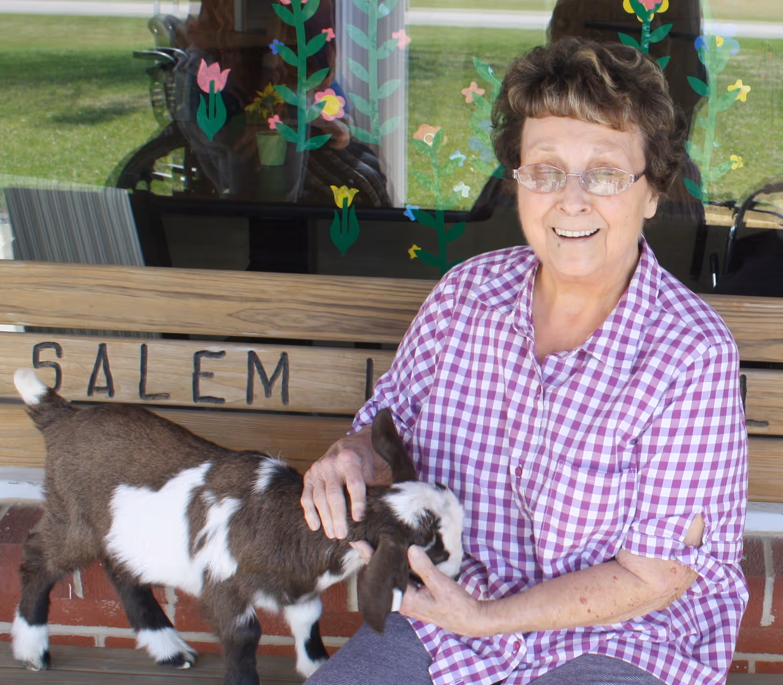 An elderly woman wearing glasses and a purple checkered shirt is sitting on a wooden bench outside. She is smiling and petting a small brown and white goat. Behind her, there is a window decorated with colorful flower and butterfly stickers.