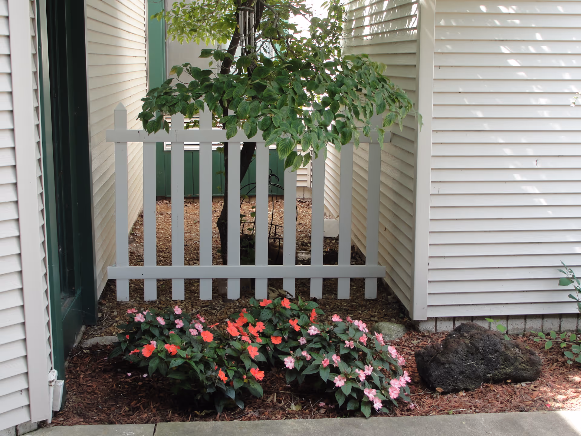 White picket fence between two building walls with a small flower bed of pink and red impatiens and a tree behind it.