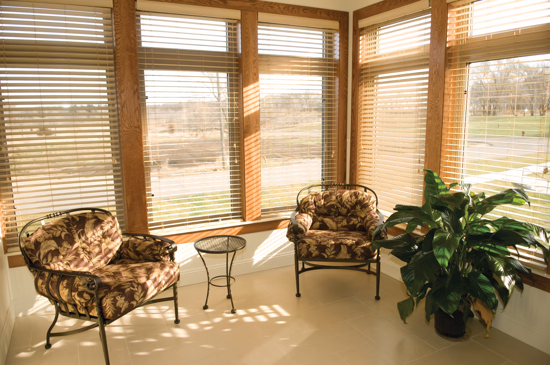 A sunlit corner room with large windows featuring wooden blinds. The room contains two cushioned armchairs with floral patterns, a small round glass-top table between them, and a large green potted plant on the right side.
