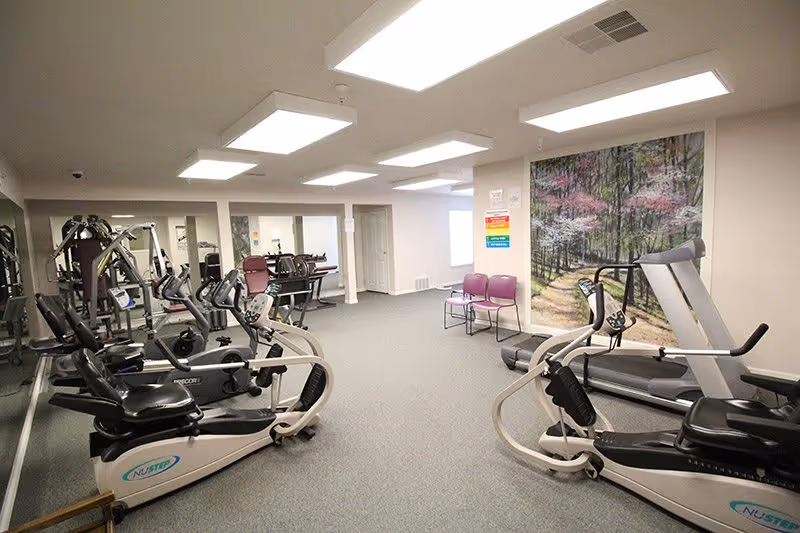 A fitness room with exercise equipment including stationary bikes, a treadmill, and weight machines. The room has gray carpet, white walls, fluorescent ceiling lights, a large mirror on one wall, and a mural of a forest path on another wall. Two purple chairs are placed against the wall near the mural.