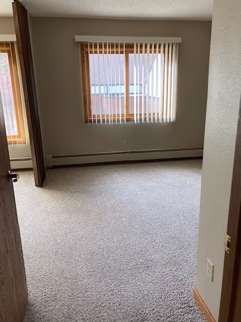 Empty room with beige carpet, light gray walls, a window with vertical blinds, and a wooden door partially open.
