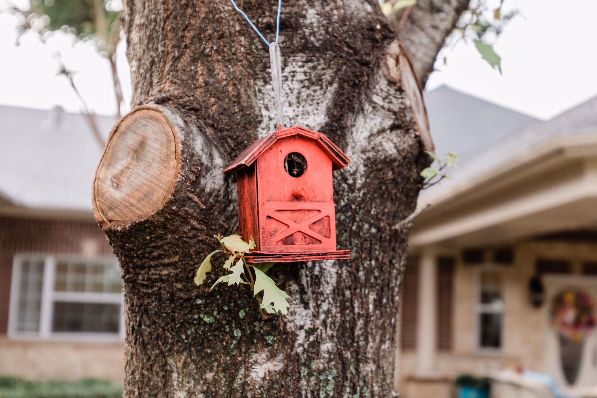 A small red birdhouse hanging on the trunk of a tree with a house and windows visible in the blurred background.