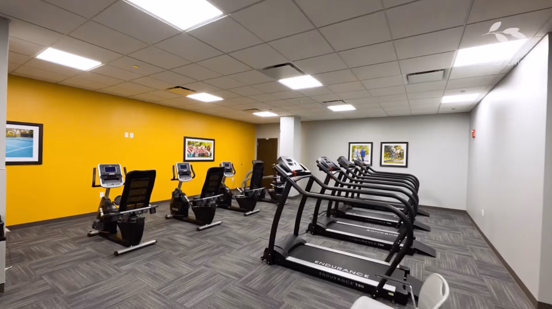 A fitness room with several treadmills and stationary exercise bikes arranged in two rows. The room has a yellow accent wall with framed pictures and a gray carpeted floor. The ceiling has recessed lighting panels.