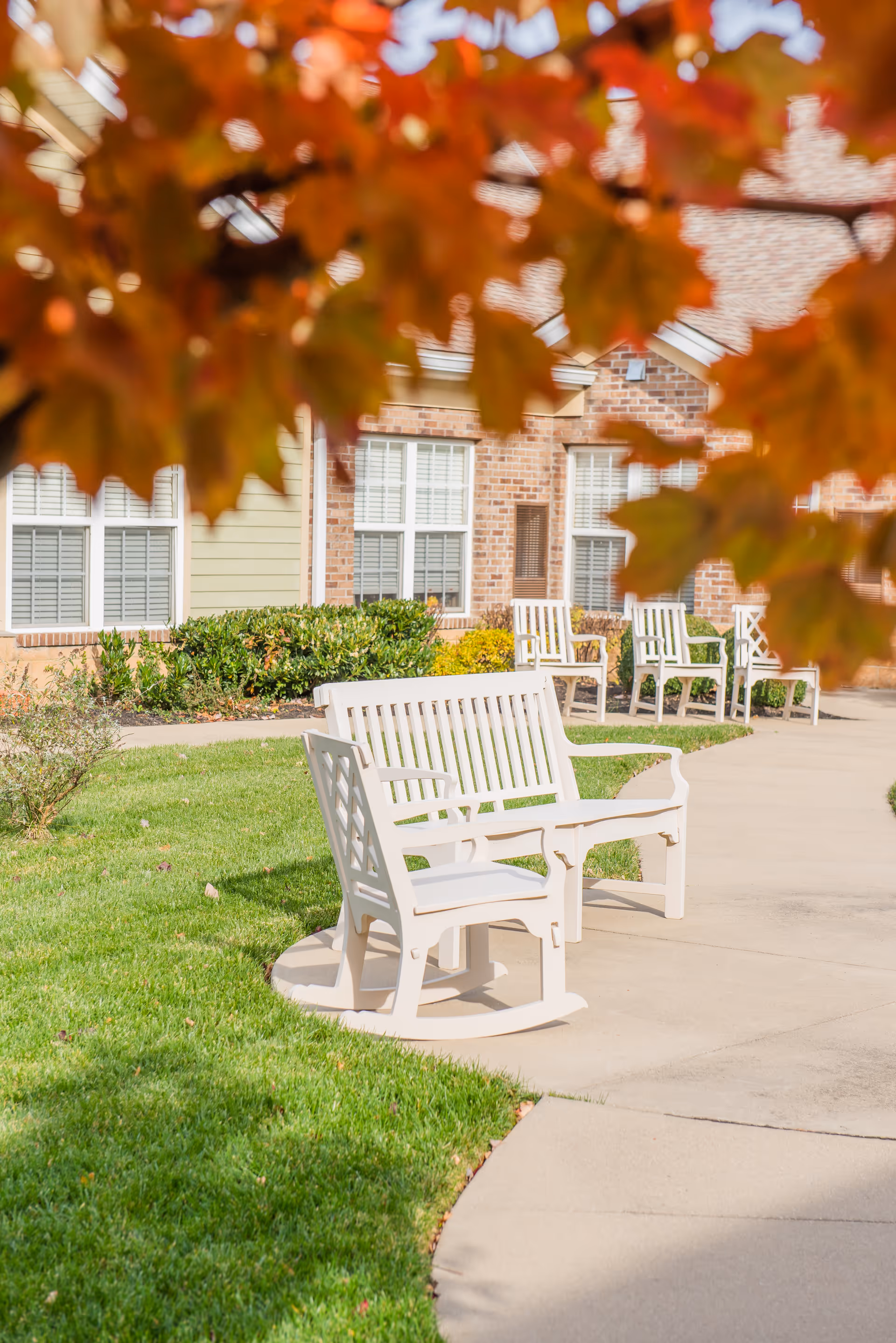 Outdoor seating area with white benches and chairs on a curved concrete pathway surrounded by green grass and bushes, with a brick building in the background and autumn leaves partially framing the top of the image.