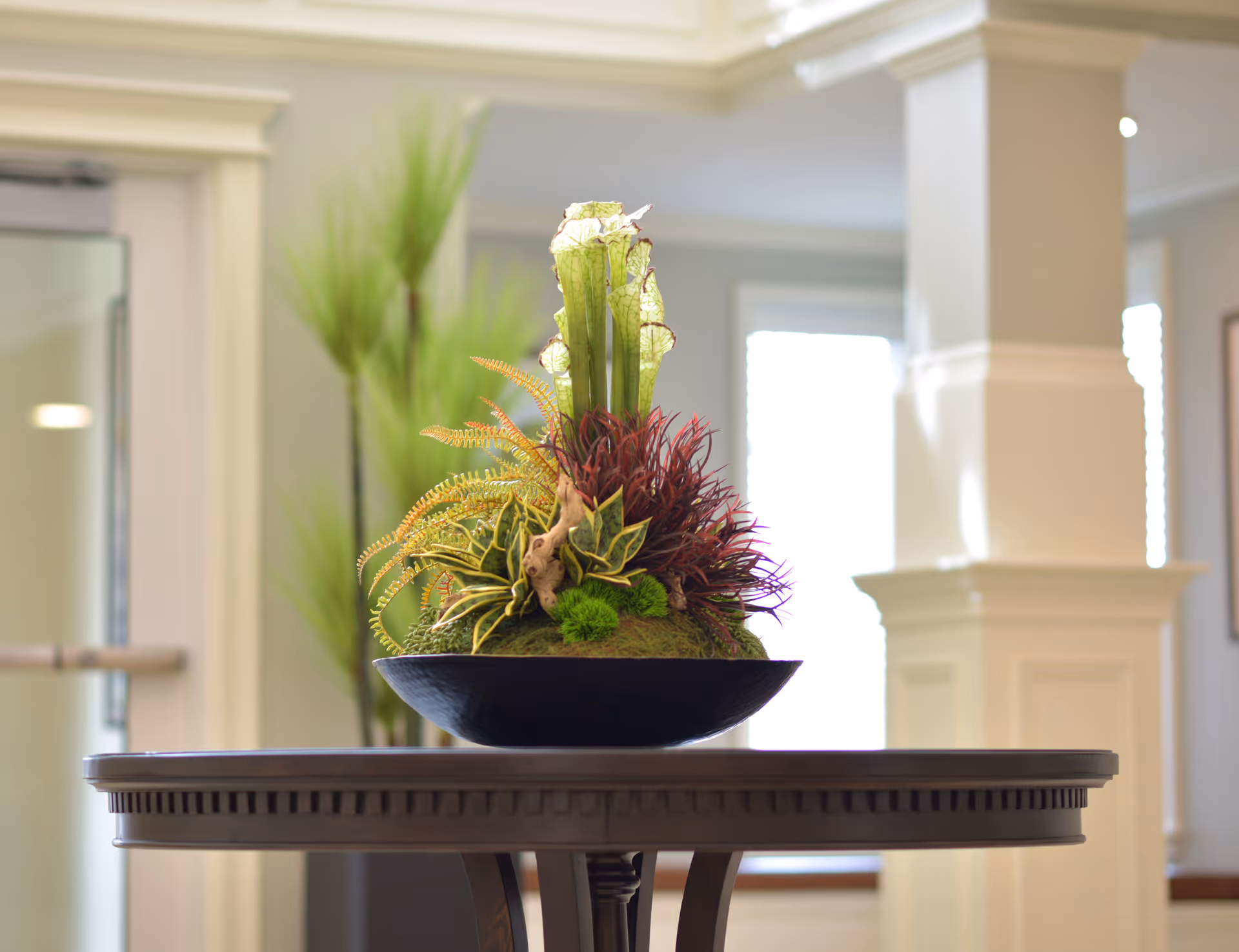 A decorative plant arrangement with green and red foliage placed in a black bowl on a round wooden table in a well-lit interior space with cream-colored walls and large windows.