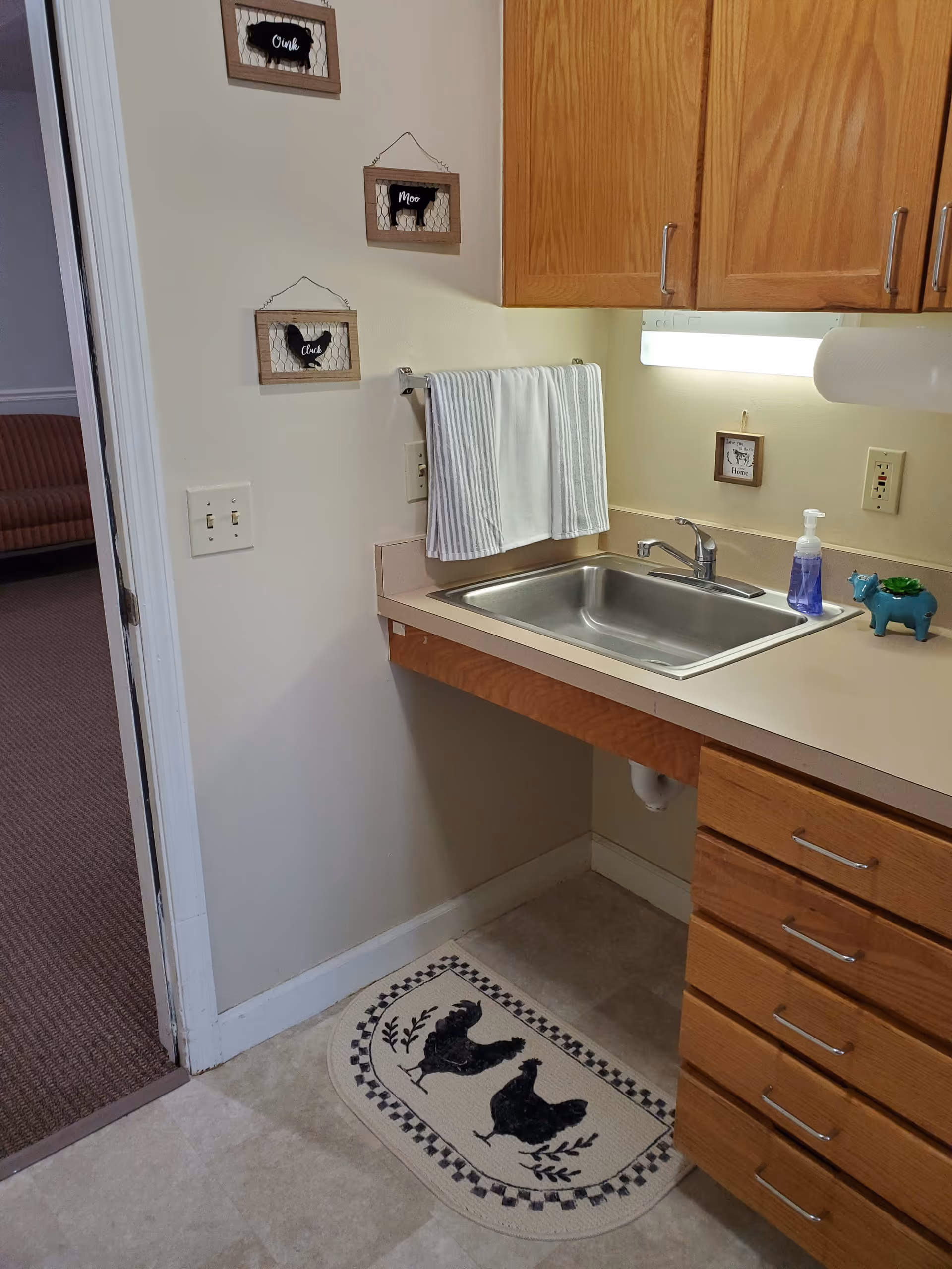 A small kitchen sink area with wooden cabinets above and drawers below. A striped towel hangs on a rack above the sink. There is a soap dispenser and a small blue decorative item on the countertop. On the wall above the towel rack are three small framed signs with chicken silhouettes and words 'Cluck', 'Moo', and 'Oink'. A small rug with two black chicken silhouettes is on the floor in front of the sink. The adjacent room with a brown carpet and a striped sofa is partially visible through an open door.