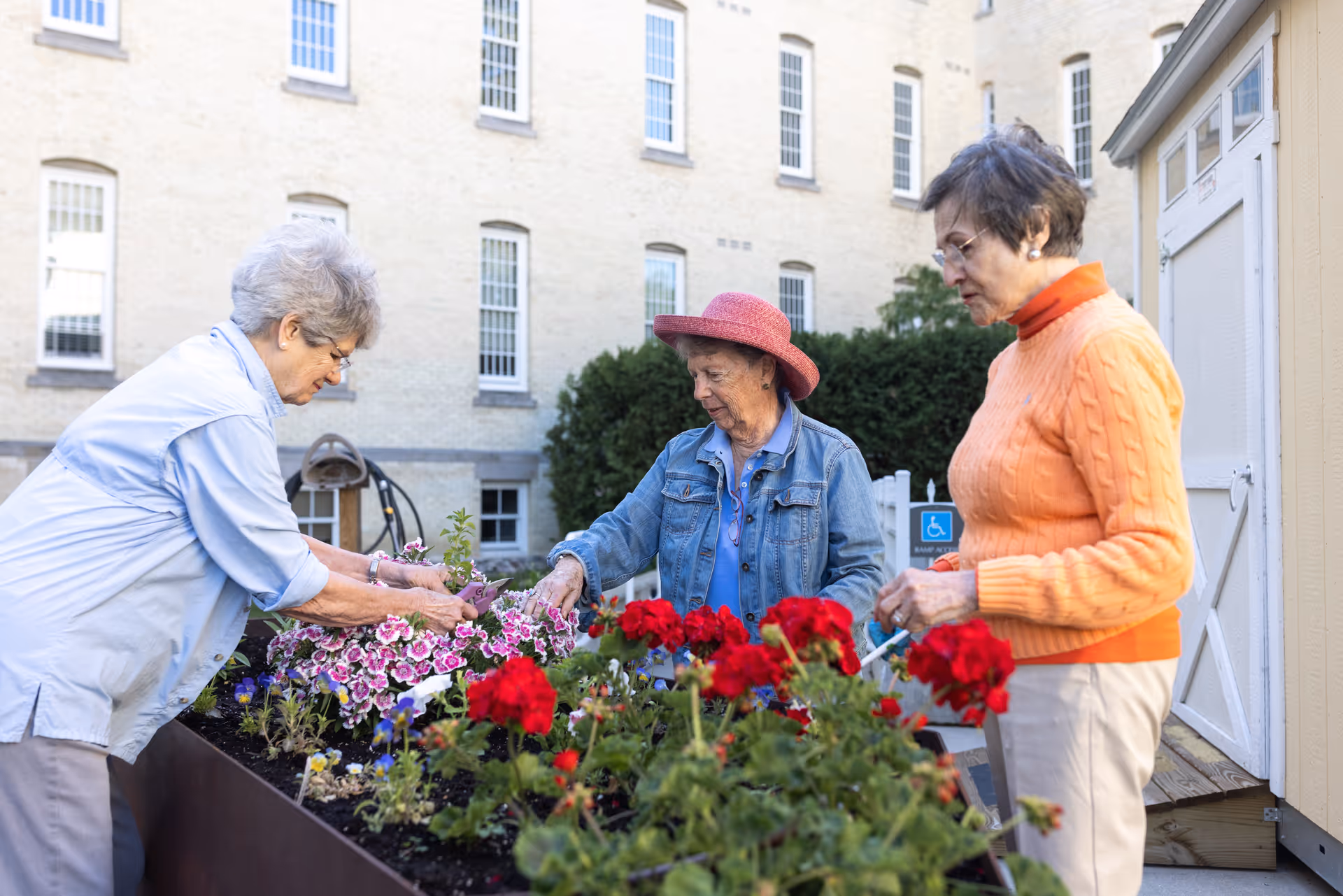 Three elderly women tending to a raised garden bed filled with colorful flowers outside a building. One woman is wearing a light blue shirt, another a denim jacket and pink hat, and the third an orange sweater. The background shows a beige brick building with multiple windows.