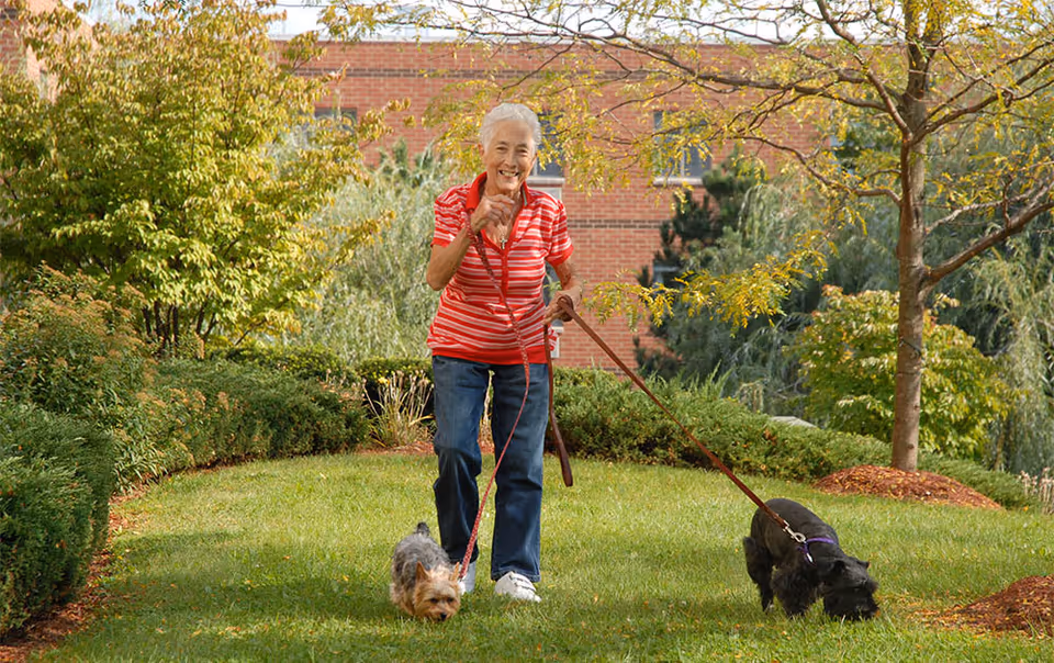 An elderly woman wearing a red and white striped shirt and blue jeans is walking two dogs on leashes in a grassy outdoor area with trees and bushes. A brick building is visible in the background.