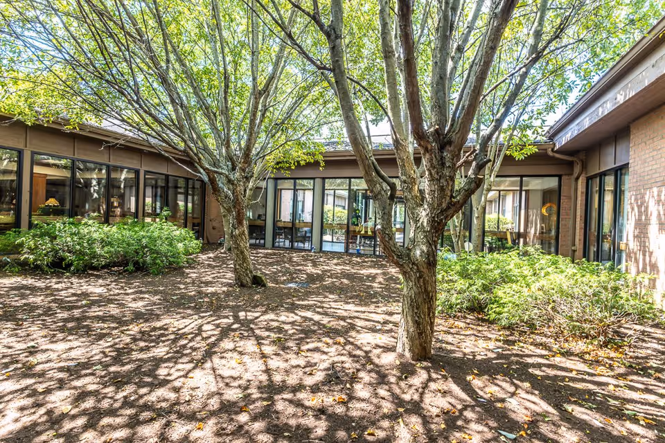 Outdoor courtyard area with several trees casting shadows on the ground, surrounded by a building with large windows and glass doors.