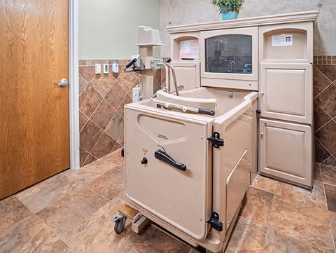 A beige assisted bathing tub with a door and handrails in a tiled room with a wooden door and light green walls, designed for senior care or medical use.