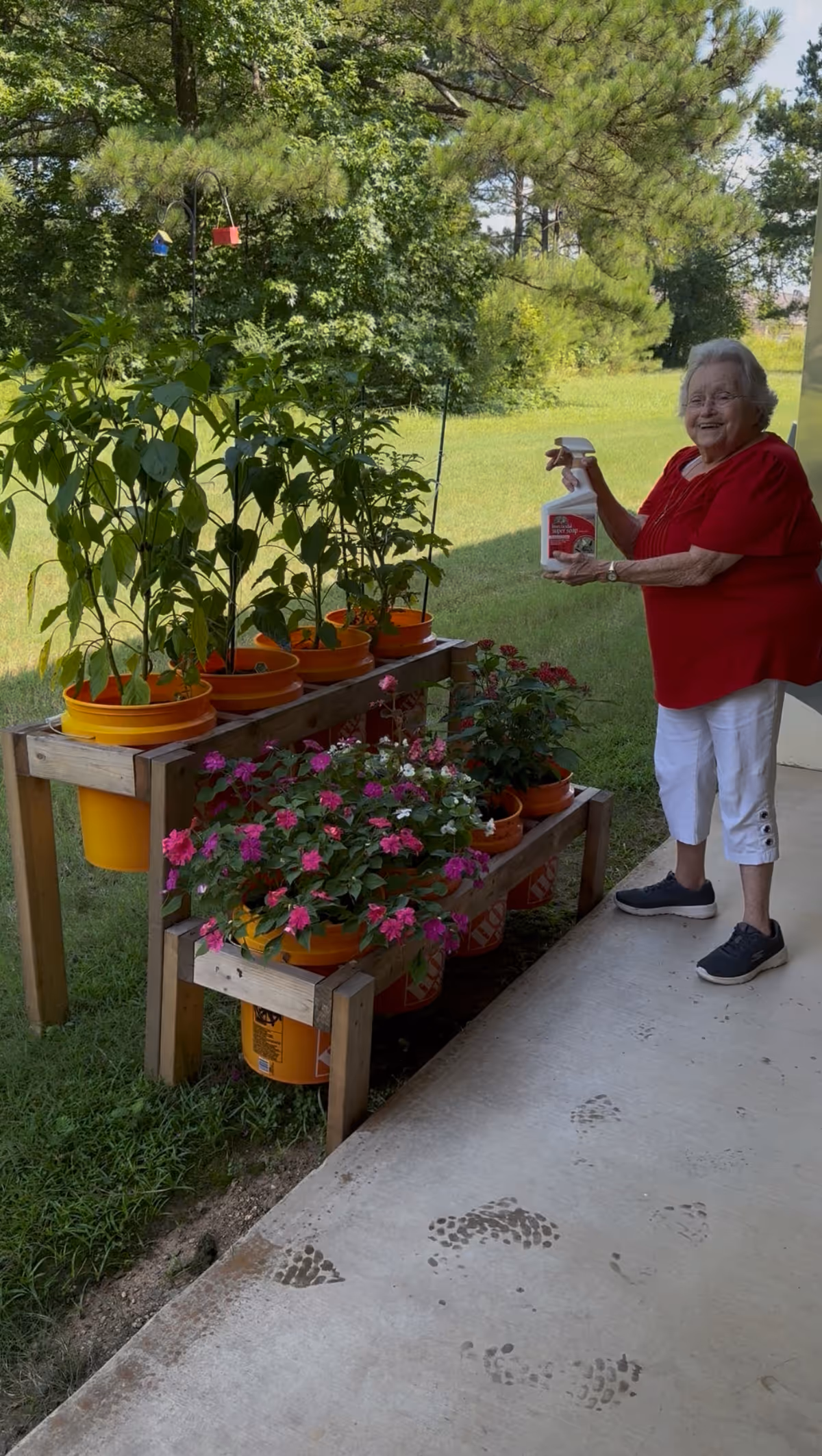 An elderly woman wearing a red shirt and white pants stands on a concrete patio next to a wooden plant stand holding multiple orange pots with green plants and pink flowers. She is smiling and holding a spray bottle. Behind her is a grassy area with trees.