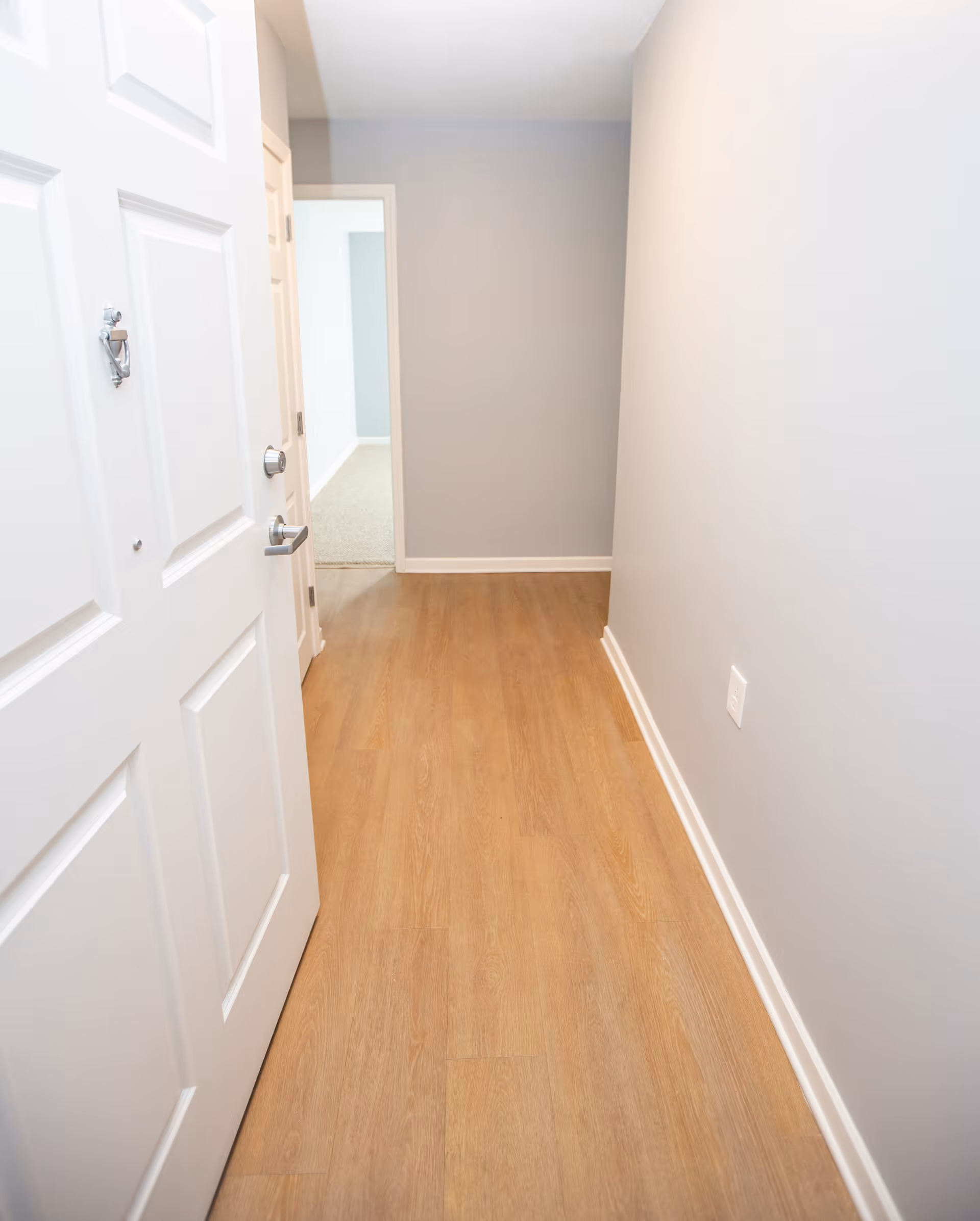 View of a narrow hallway with light wood flooring and light gray walls. The white entrance door is open on the left side, and a doorway at the end of the hallway leads to another room with carpeted flooring.