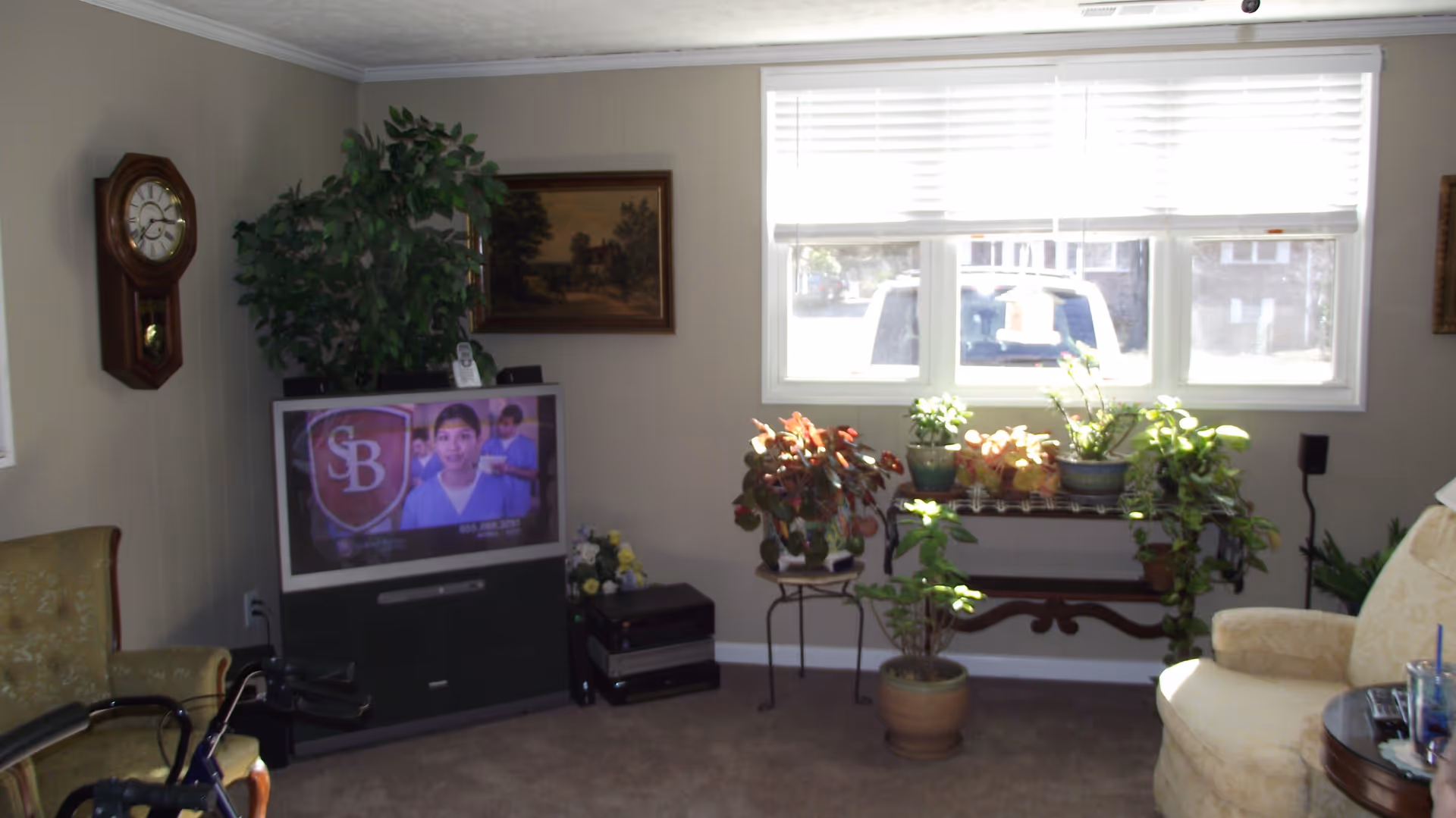 A cozy living room with a large window letting in natural light. The room features a vintage-style wall clock, a television displaying a healthcare-related program, several potted plants on a stand and the floor, a beige upholstered armchair, and a small side table with a cup and remote controls. The walls are light-colored, and there is a framed painting hanging above the television.