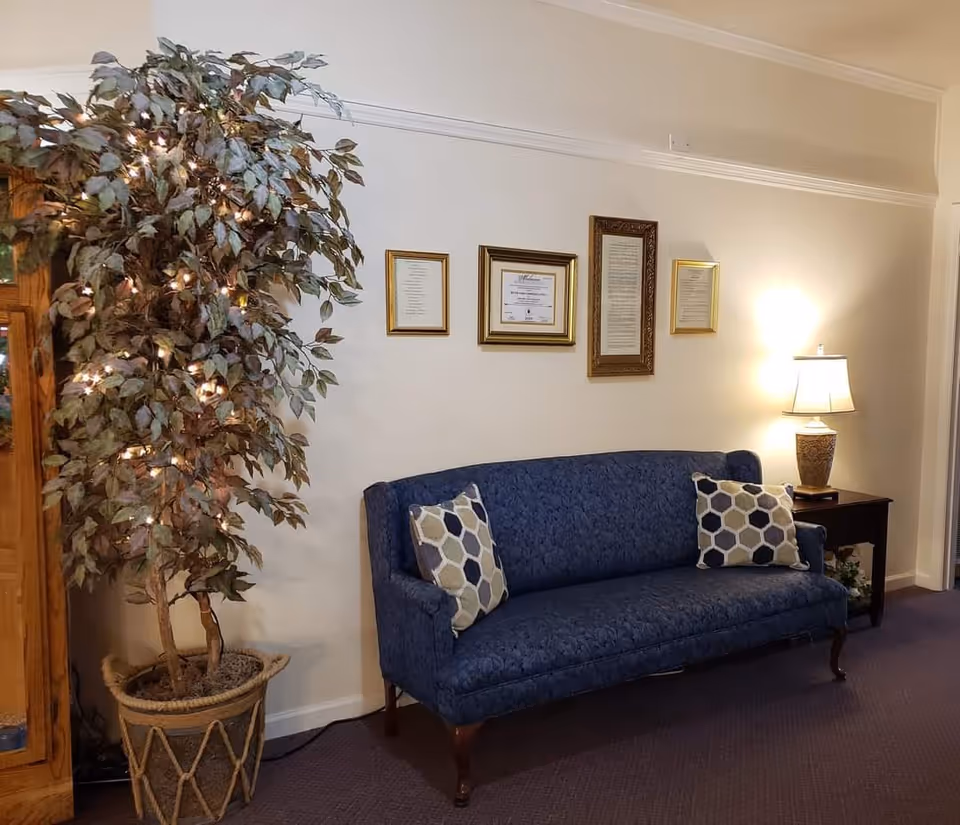 Blue upholstered couch with patterned pillows against a wall with framed certificates, a lit potted tree, and a side table lamp.