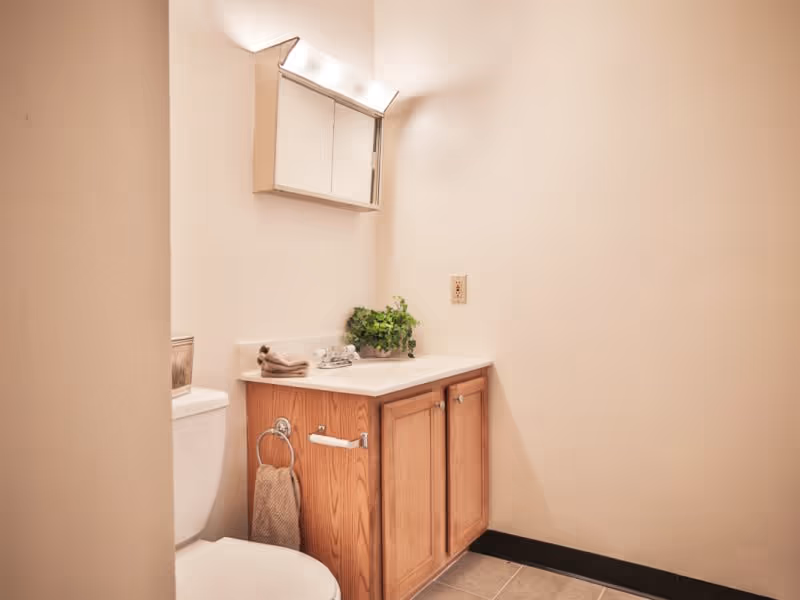 Small bathroom with a toilet, wood vanity topped by a sink and mirrored cabinet, and a potted plant.