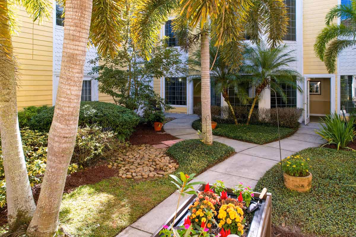 Sunny courtyard with palm trees, paved walkways, flower planters and the entrance to a yellow building.