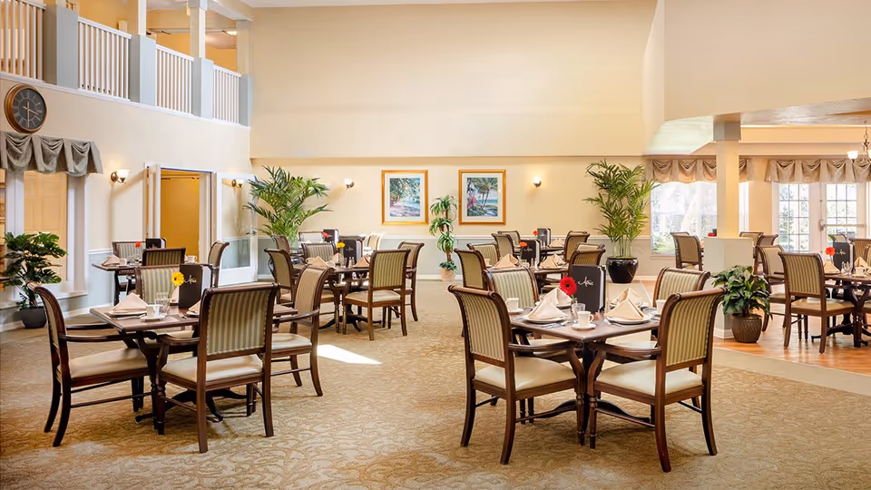 A spacious and well-lit dining room with multiple wooden tables and chairs arranged neatly. Each table is set with white napkins, cups, and small flower vases. The room has beige walls, carpeted floors, large windows with curtains, and several green potted plants. Two framed paintings hang on the far wall.
