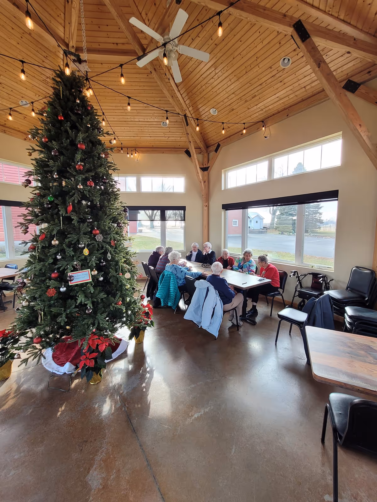 A group of elderly people sitting around a table in a spacious room with large windows and a high wooden ceiling. A decorated Christmas tree stands prominently in the foreground, and string lights hang from the ceiling. Several chairs and coats are visible around the room.