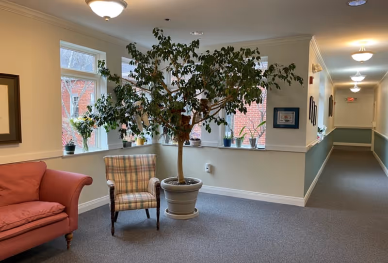 A well-lit hallway corner in a senior living facility with a large potted tree, a plaid upholstered armchair, and a pink sofa. Several potted plants are placed on the windowsill, and framed pictures hang on the walls. The hallway extends to the right with ceiling lights and a carpeted floor.