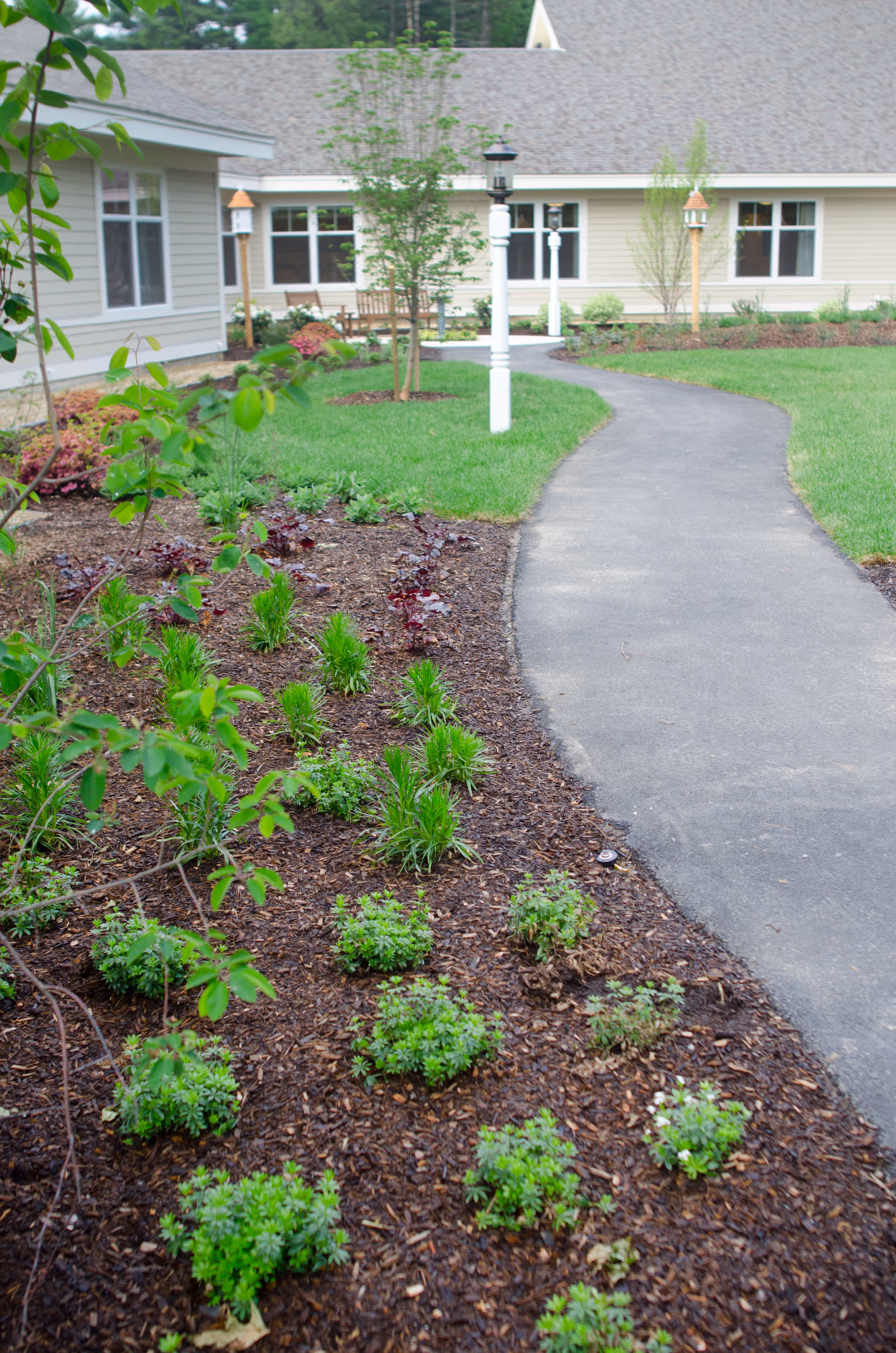 Curved paved walkway through a landscaped courtyard with shrubs, lamp posts, and a single-story building in the background.