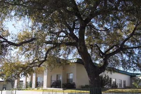 A single-story senior care facility exterior with a large tree in the front yard.