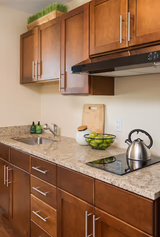 A kitchen with wooden cabinets, a granite countertop, sink, electric cooktop with a kettle, and decorative items including a bowl of apples.