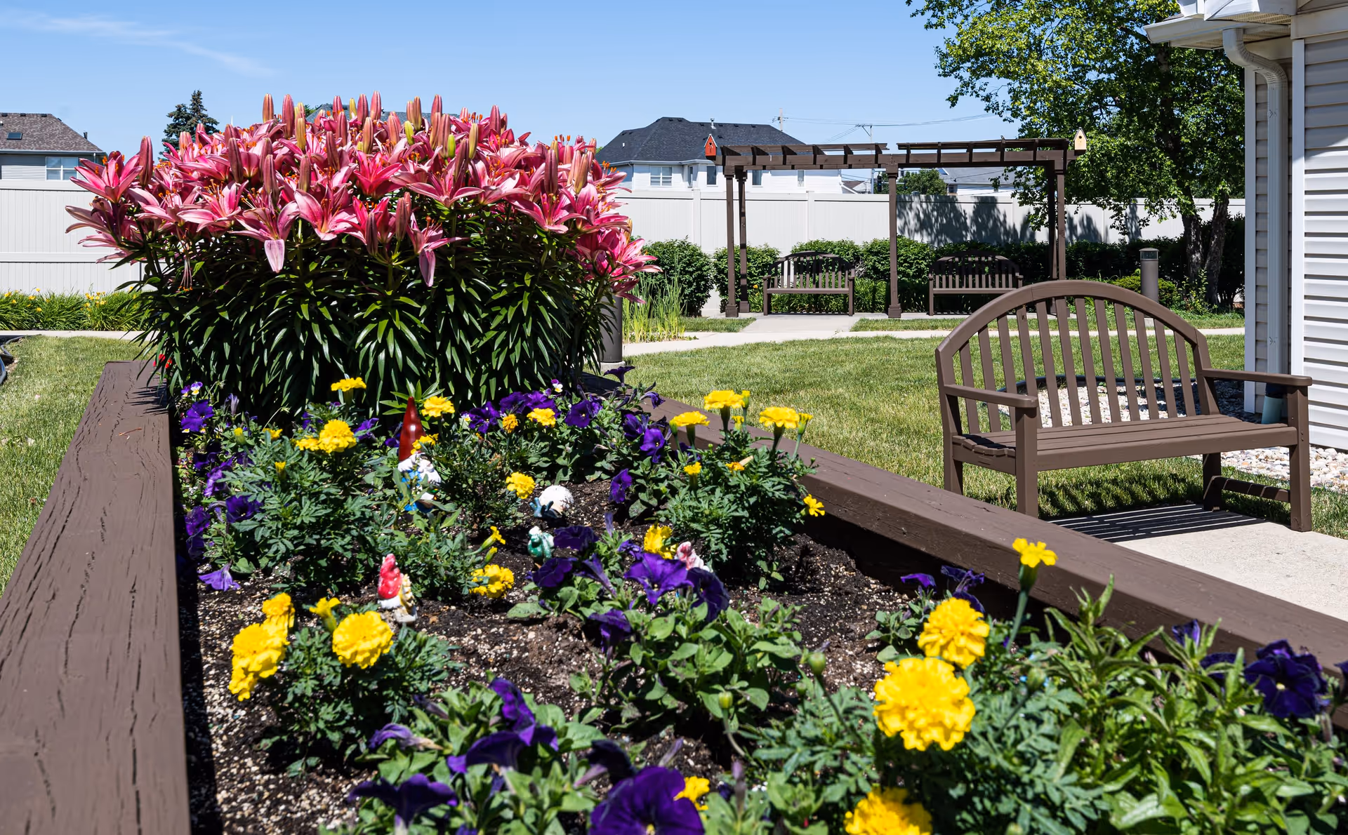 A vibrant outdoor garden area with colorful flowers including pink lilies, yellow marigolds, and purple petunias in a raised wooden flower bed. There are two wooden benches under a pergola in the background, a white fence, and a tree providing shade. The scene is bright and sunny.