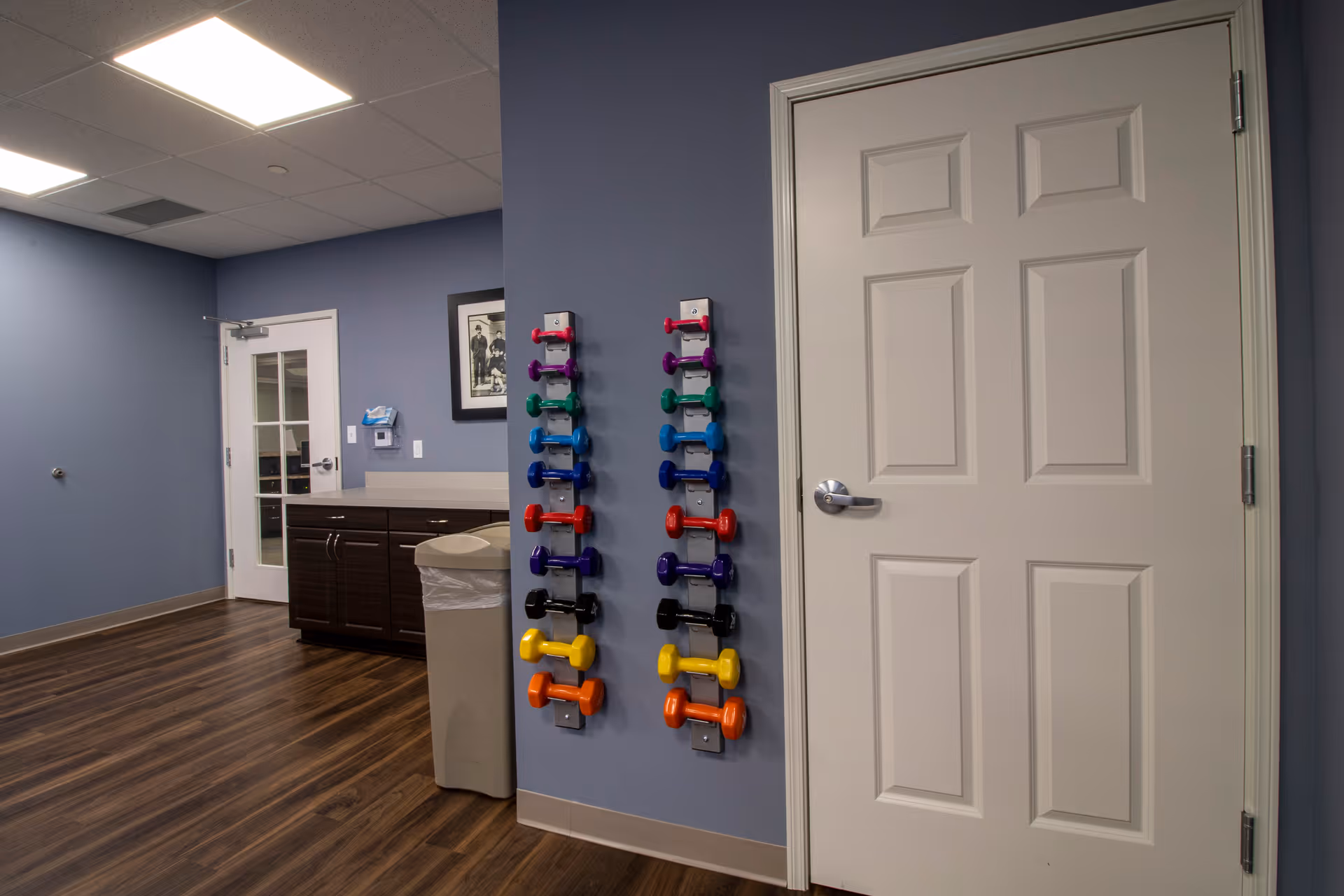 Interior room with blue walls and wood flooring featuring two vertical racks of colorful dumbbells mounted on the wall, a white door with a silver handle, a trash can, and a dark brown cabinet with a countertop. A framed black and white picture hangs on the wall near the cabinet.