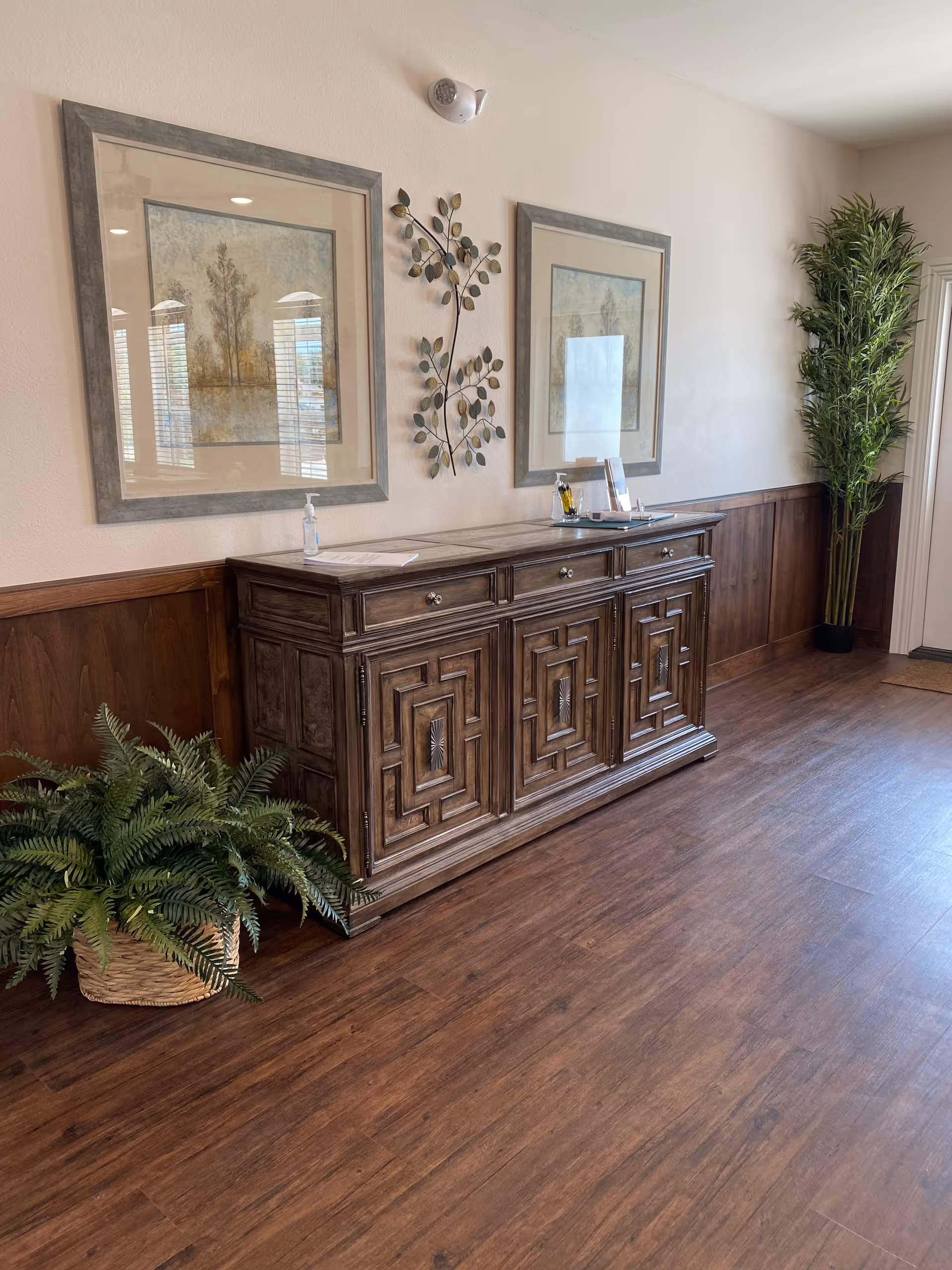 Interior hallway area with wooden flooring and a decorative wooden cabinet against the wall. Above the cabinet are two framed landscape paintings and a metal wall decoration shaped like branches with leaves. There are two potted plants, one on the floor to the left of the cabinet and a tall one in the corner to the right. The area is well-lit with natural light coming from a window or door on the right side.