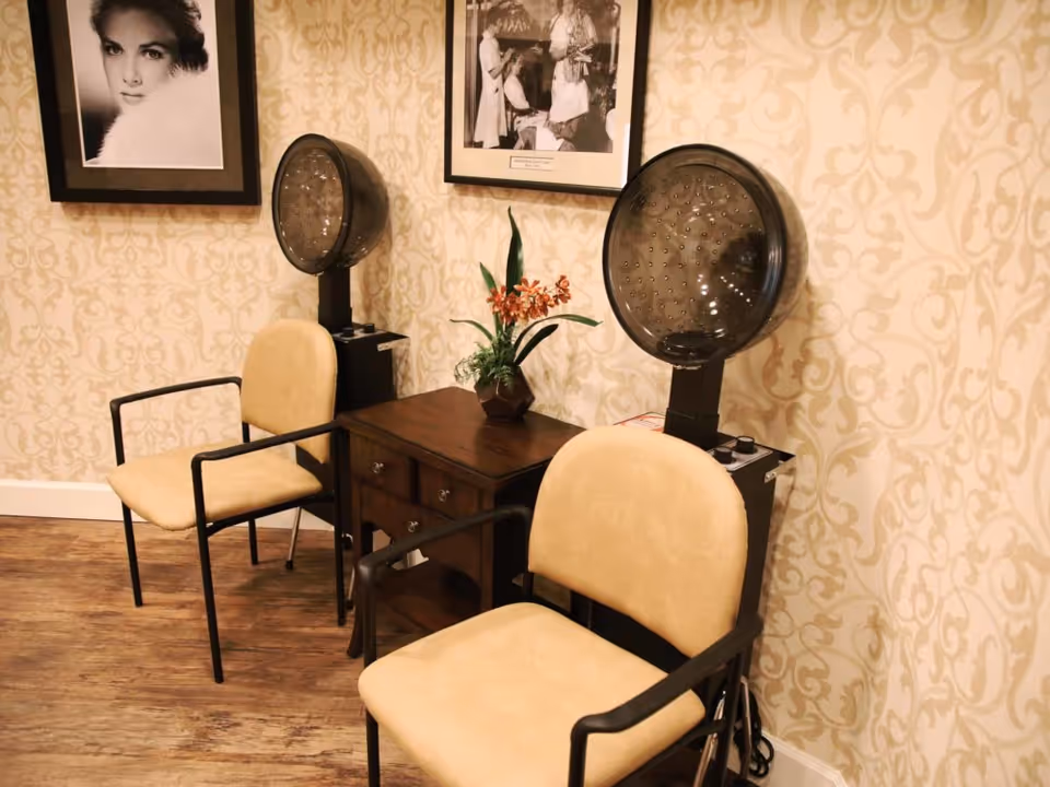 Two beige salon chairs with hooded hair dryers flanking a small wooden table with a potted plant against patterned wallpaper.