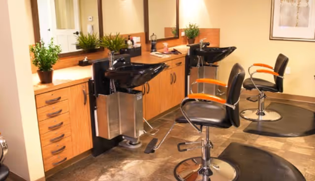 Interior view of a salon area with two black salon chairs featuring wooden armrests, positioned in front of two black hair washing sinks. The area includes wooden cabinetry with drawers and a countertop decorated with small green plants and hair care products. Large mirrors are mounted on the wall behind the sinks.