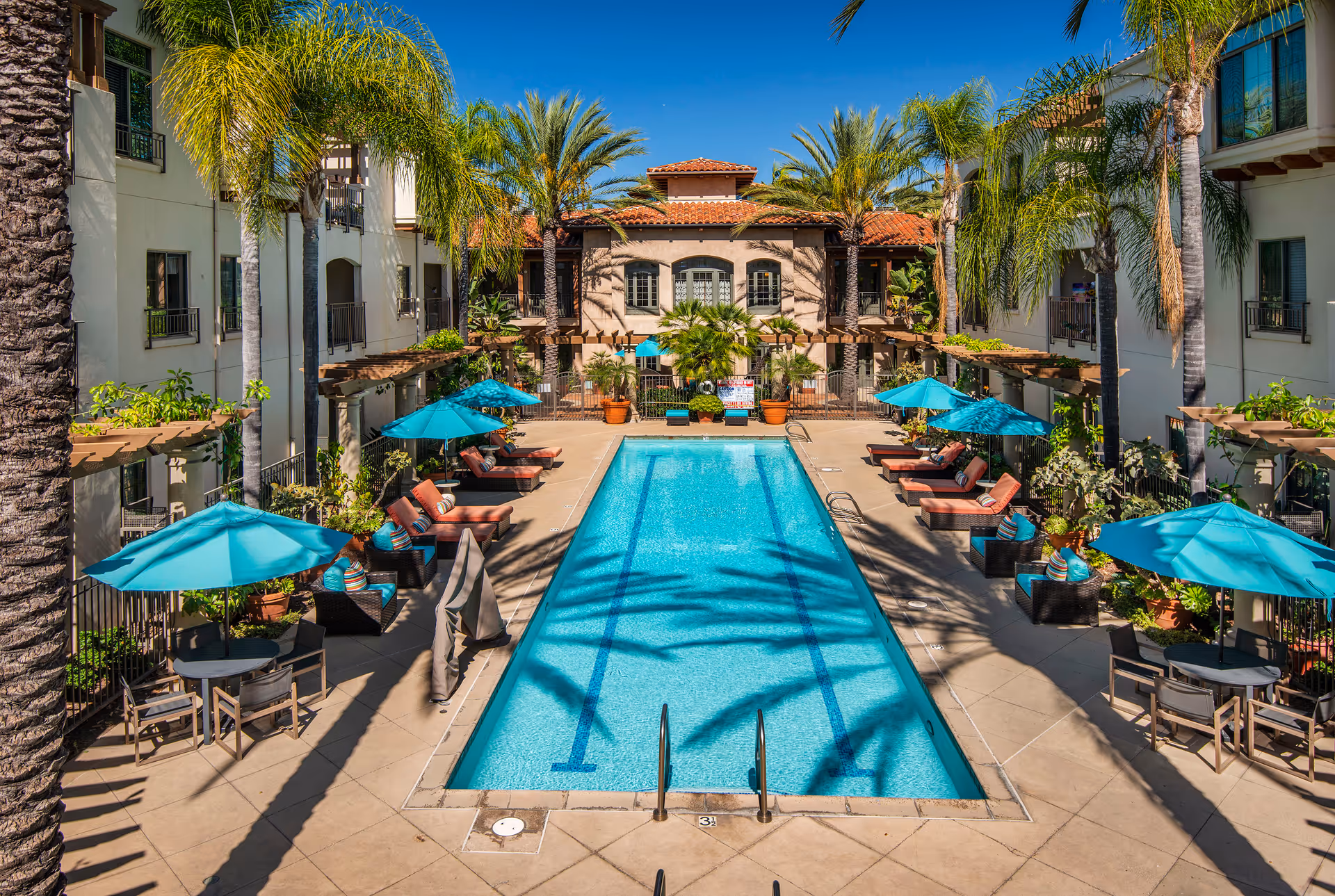 Photo 8 of La Vida Real