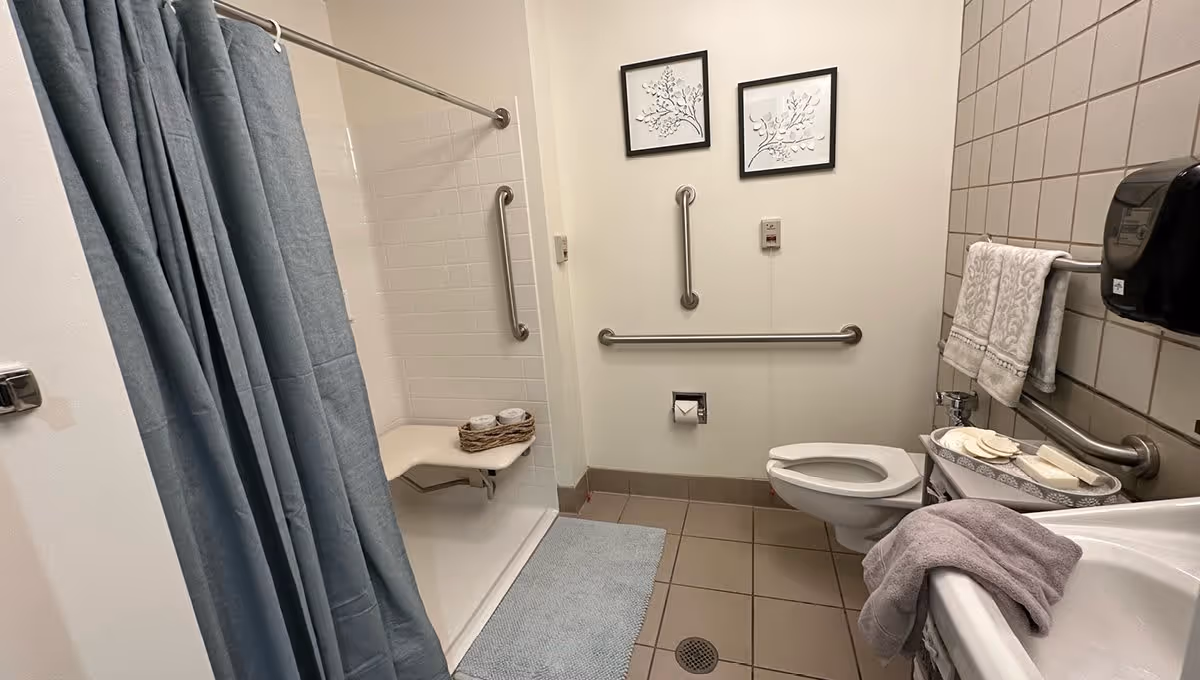 A clean and accessible bathroom with a walk-in shower featuring a fold-down seat and grab bars. The bathroom also includes a toilet with grab bars, a sink with a towel draped over the edge, a soap dispenser, and decorative framed artwork on the wall.