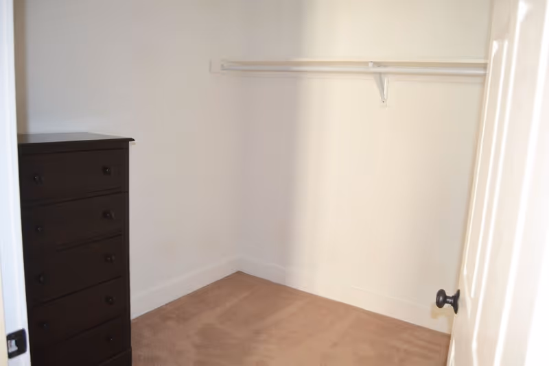 Empty walk-in closet with beige carpet, white walls, a white shelf and hanging rod, and a dark brown chest of drawers on the left side.