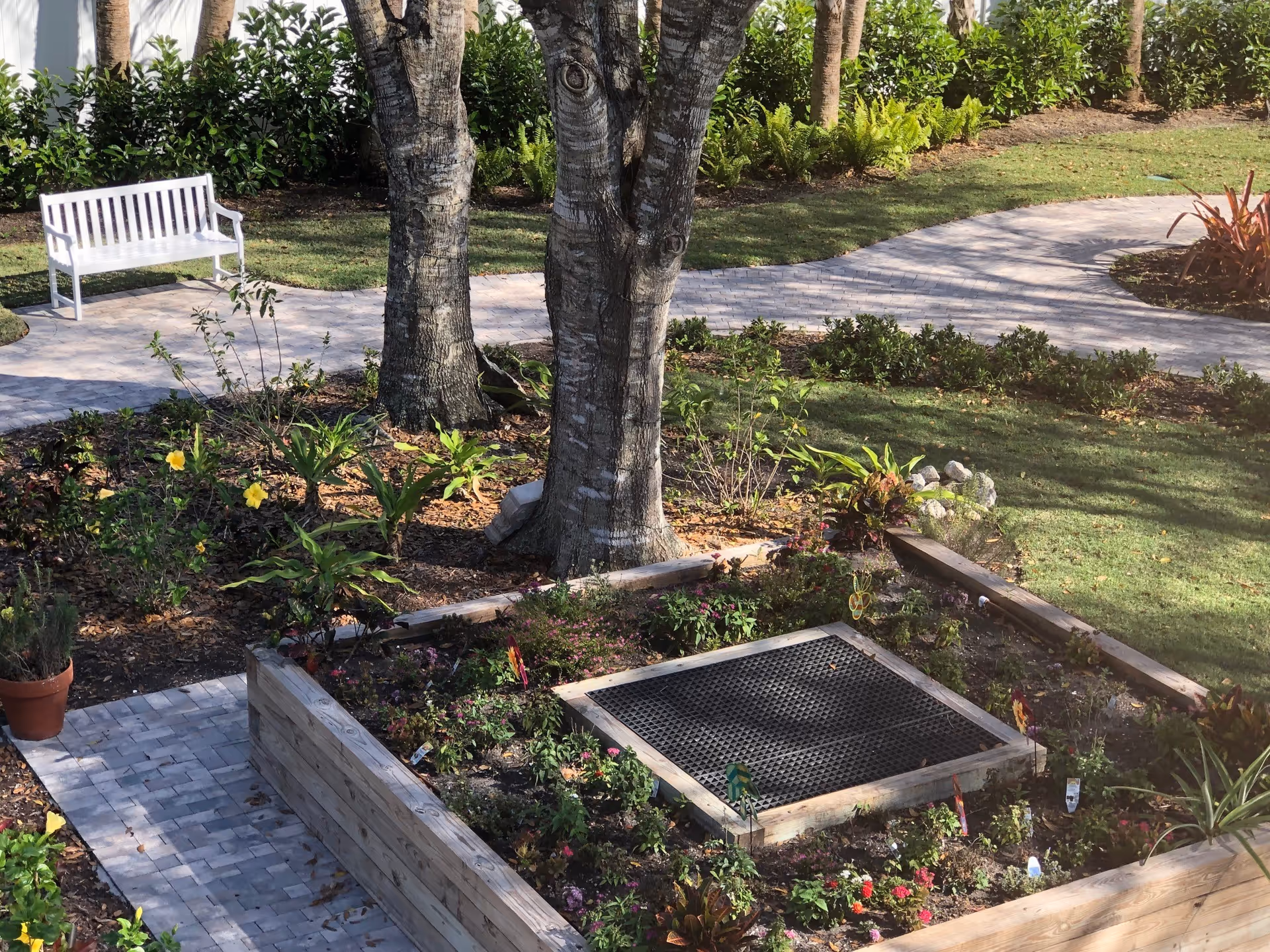 A garden area with a raised wooden planter box containing various plants and flowers. Behind the planter box are several palm trees and a paved walkway that curves through the green lawn. A white bench is positioned along the walkway near some bushes and plants.