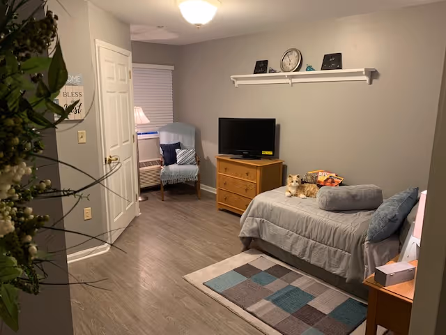 A cozy bedroom with a single bed covered in gray bedding and pillows, a small wooden dresser with a TV on top, a light blue armchair with a pillow near a window with blinds, a patterned rug on the floor, and a shelf on the wall holding a clock and decorative items. A door is partially open, and a plant is visible in the foreground.