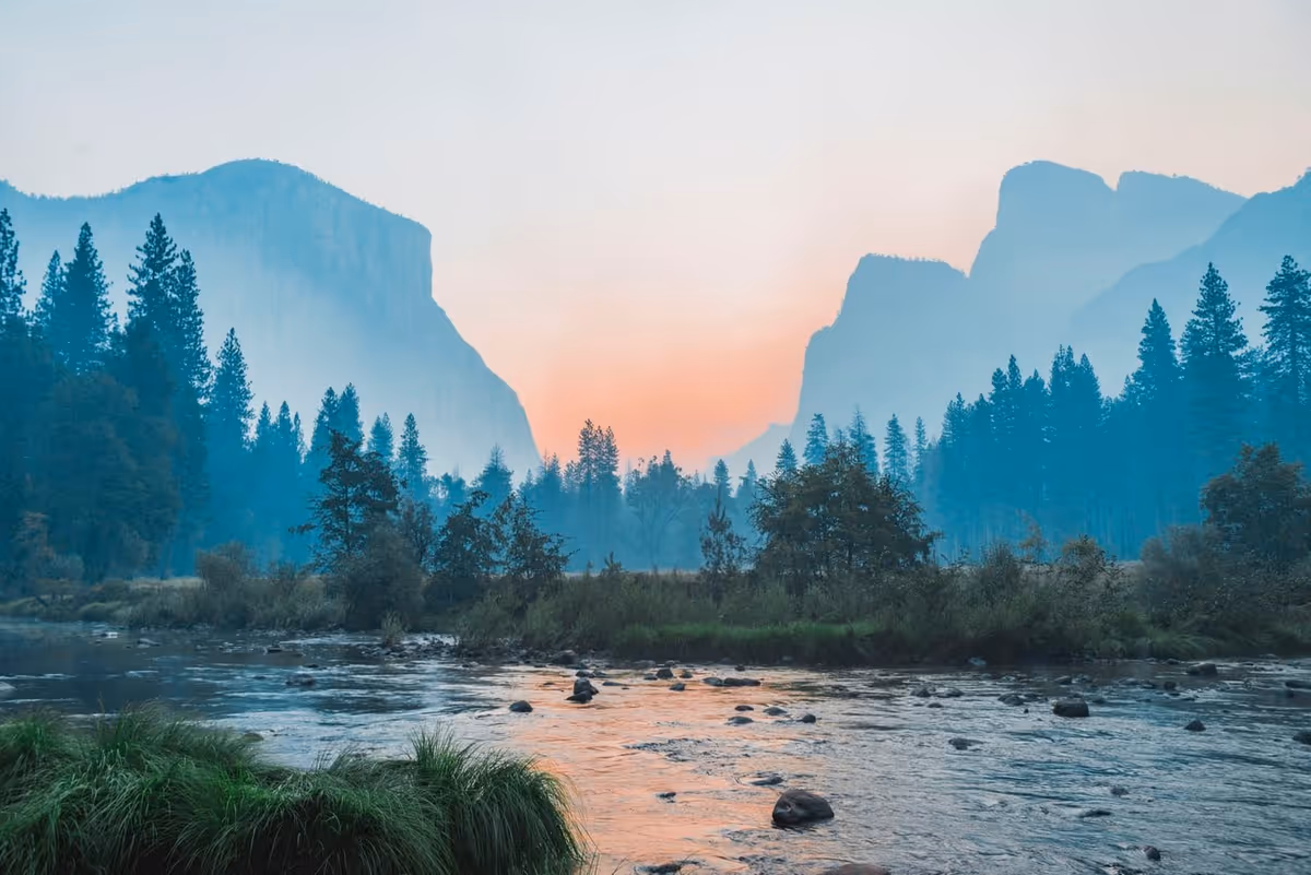 A serene river flowing through a forested valley with tall pine trees and large rock formations in the background under a soft pastel-colored sky at sunrise or sunset.