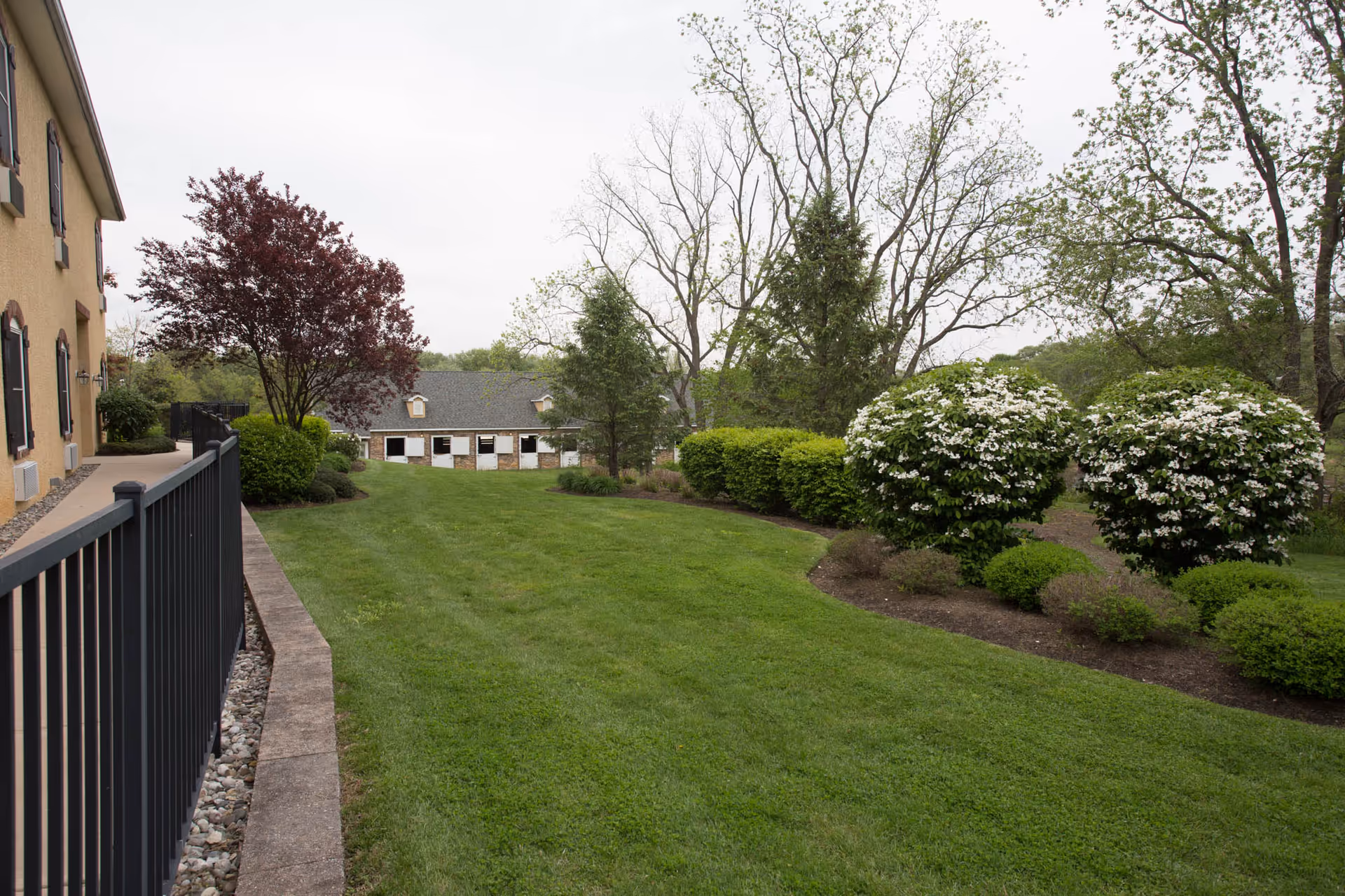 A landscaped outdoor area with a well-maintained green lawn, various bushes and trees, and a building on the left side with a black metal fence along a stone pathway.