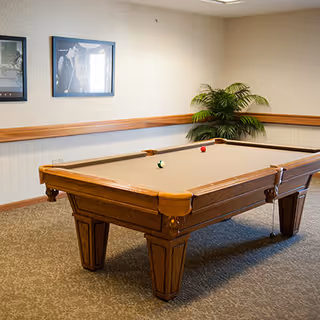 A pool table in a carpeted recreation room with framed pictures on the wall and a potted plant.