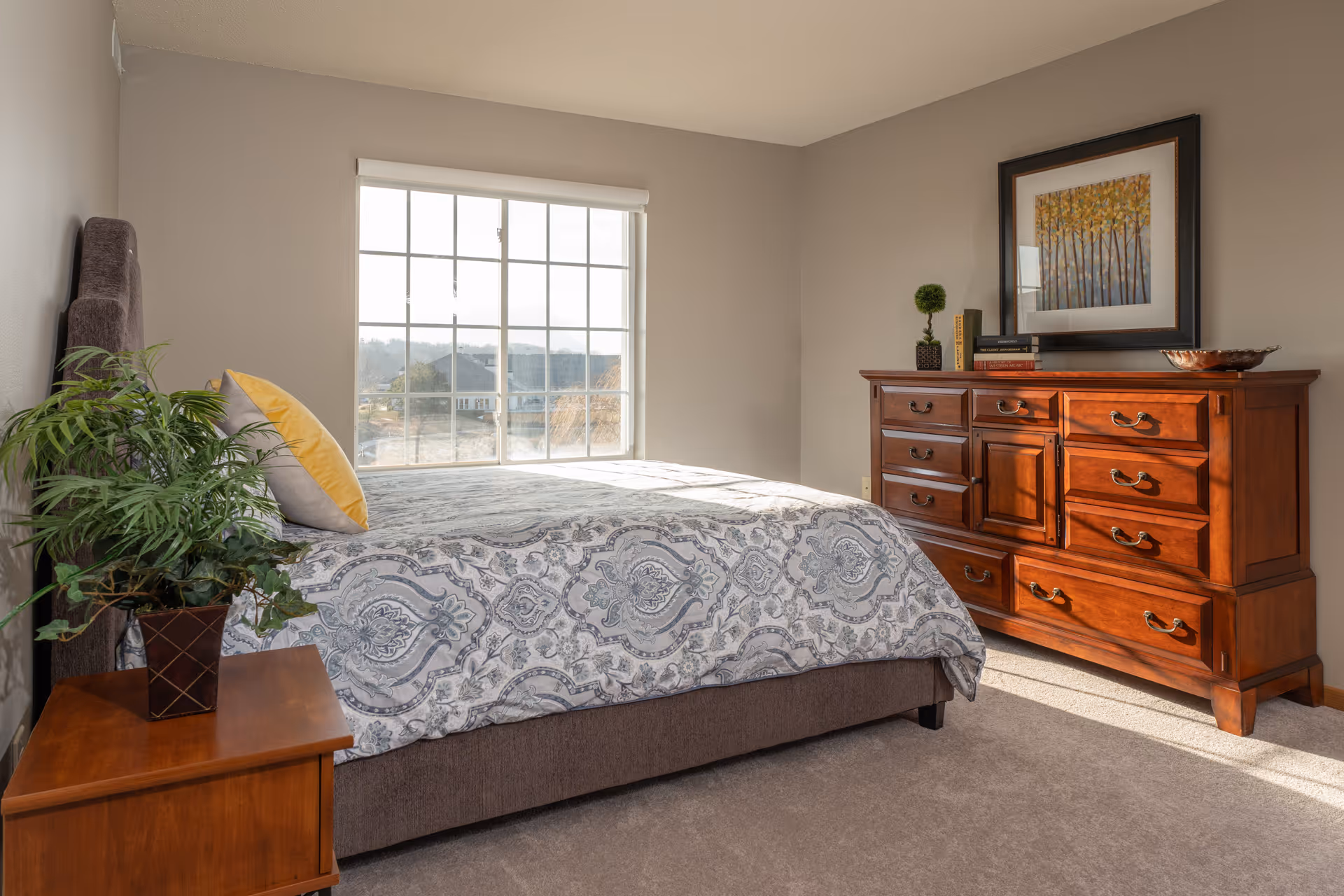 Sunlit bedroom with a bed dressed in patterned bedding, a wooden dresser, and a nightstand with a plant by a large window.