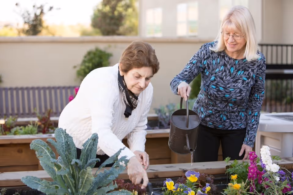 Two elderly women gardening together outdoors, one watering plants with a watering can and the other tending to the plants in a raised garden bed with flowers and leafy greens.
