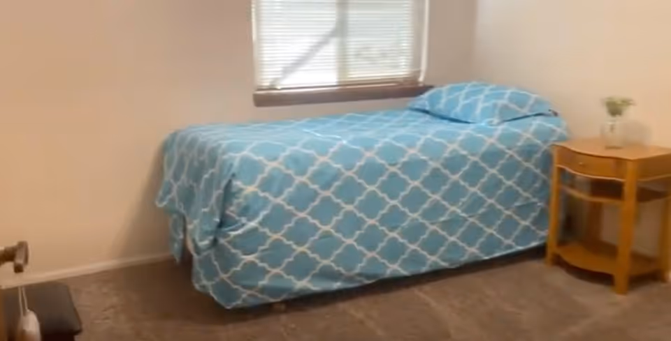 Small bedroom with a single bed covered in a blue patterned comforter, a wooden nightstand with a small plant, and a window with blinds.