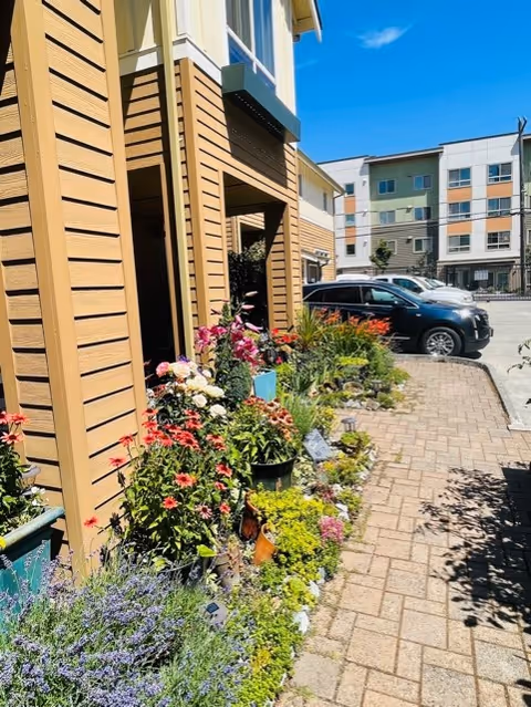 A sunny outdoor walkway beside a building with tan siding, lined with a variety of colorful flowering plants and greenery in pots and garden beds. In the background, there is a parking area with several parked cars and a multi-story building with a modern design under a clear blue sky.